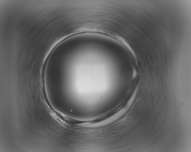 X0000052931148200507151610