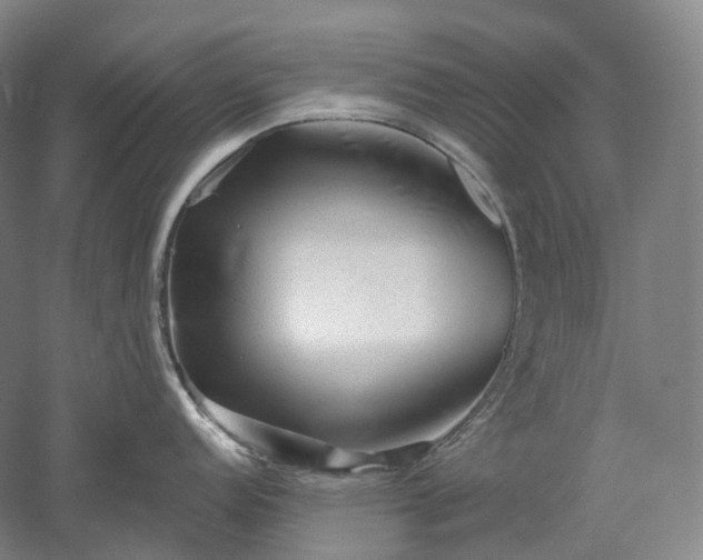 X0000052931152200507151610