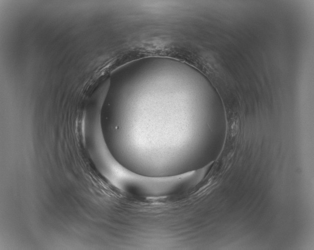 X0000052931156200507151609