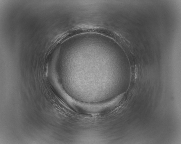 X0000052931157200507151609
