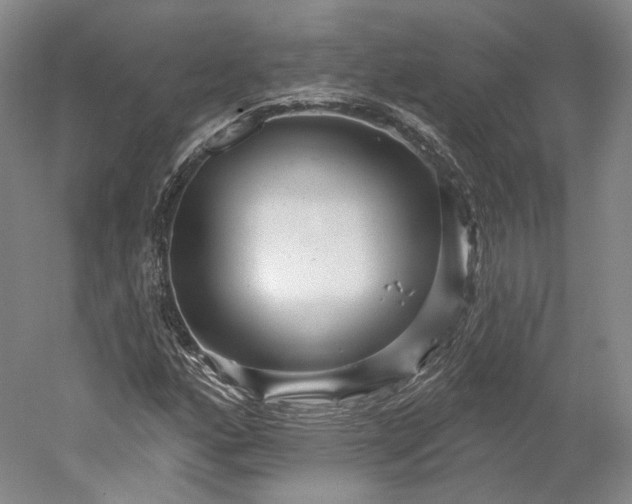 X0000052931160200507151609