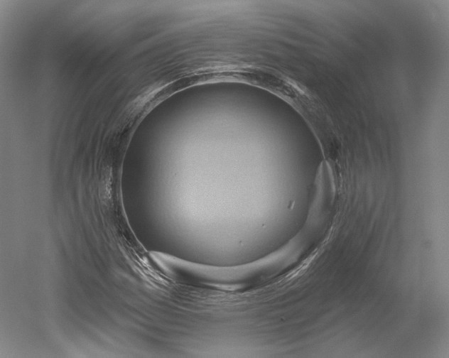 X0000052931161200507151609