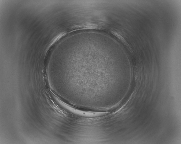 X0000052931163200507151609