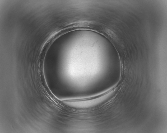 X0000052931164200507151609