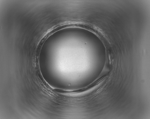 X0000052931165200507151609