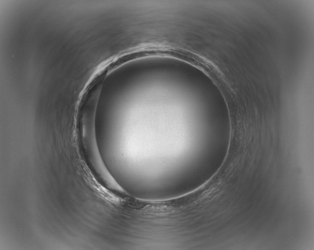 X0000052931168200507151609