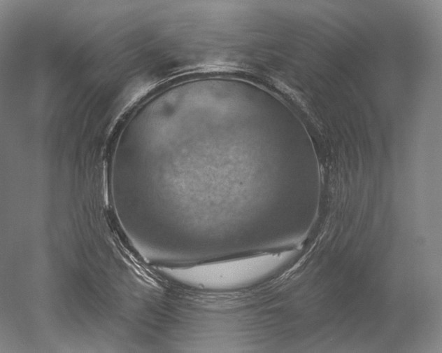 X0000052931171200507151609