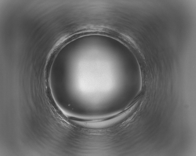 X0000052931172200507151609