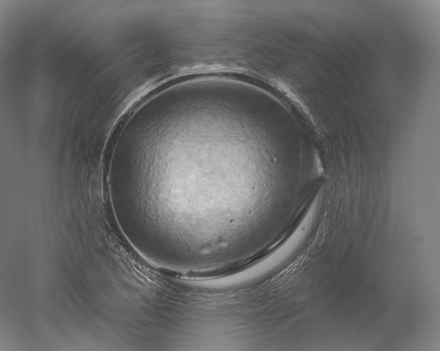 X0000052931173200507151609