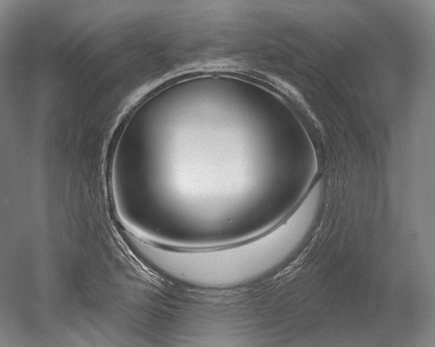X0000052931176200507151609