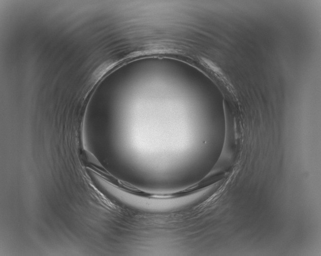 X0000052931177200507151609