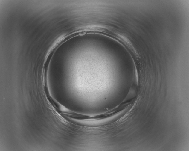 X0000052931180200507151609