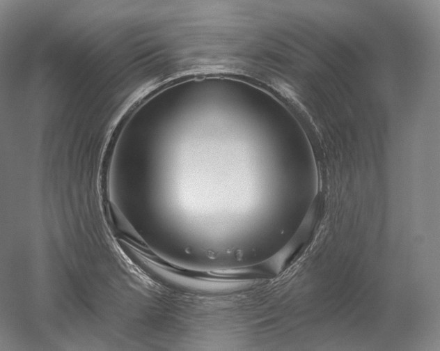 X0000052931181200507151609