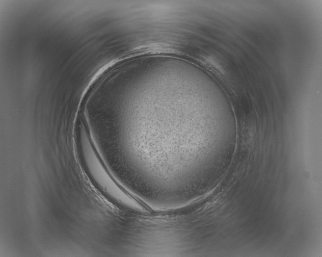 X0000052931182200507151609