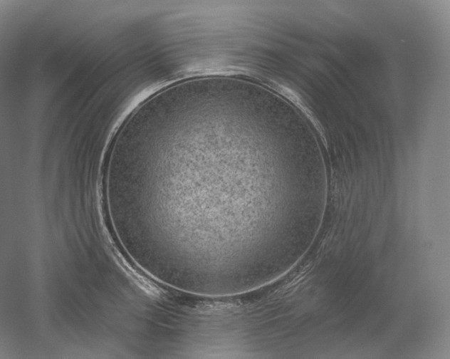 X0000052931187200507151609