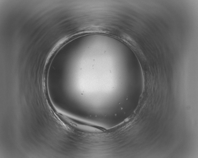 X0000052931188200507151609