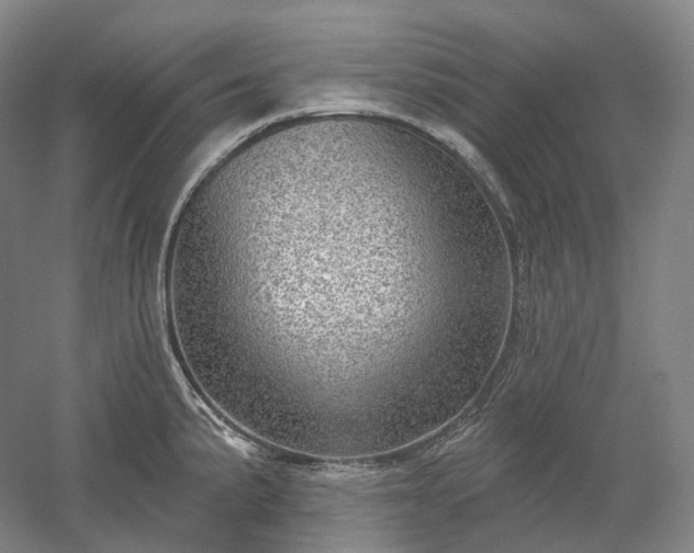 X0000052931191200507151608