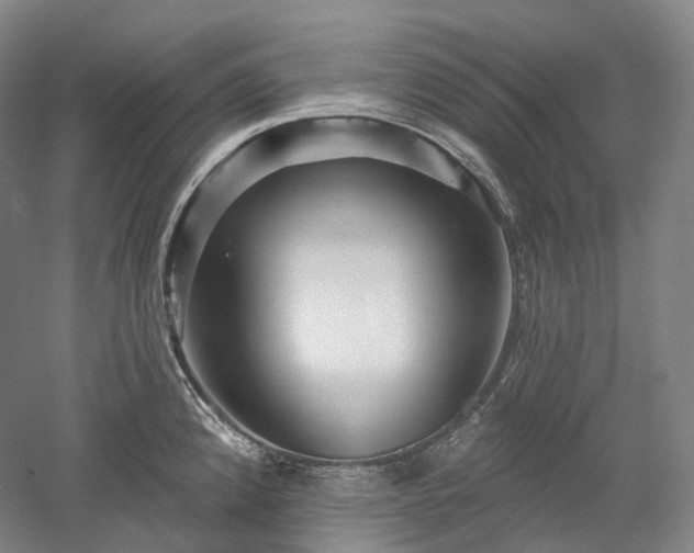 X0000052931192200507151608