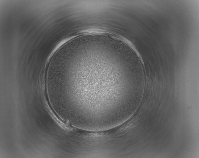 X0000052931195200507151608