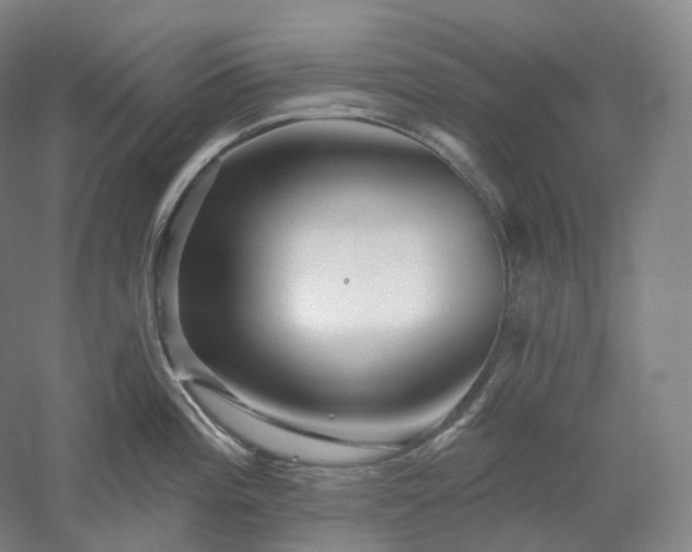 X0000052931196200507151608
