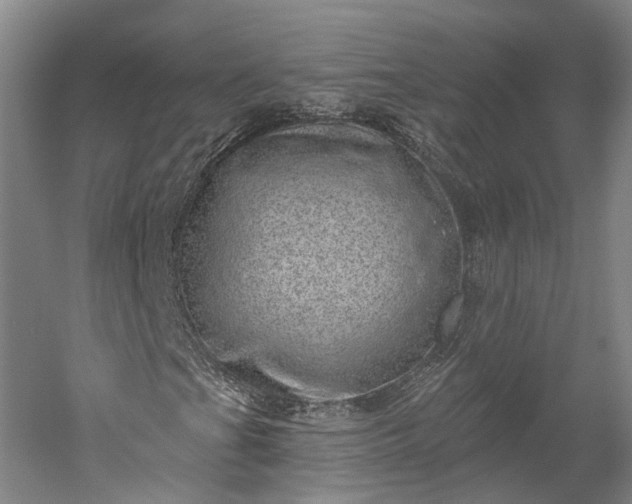 X0000052931201200507151608