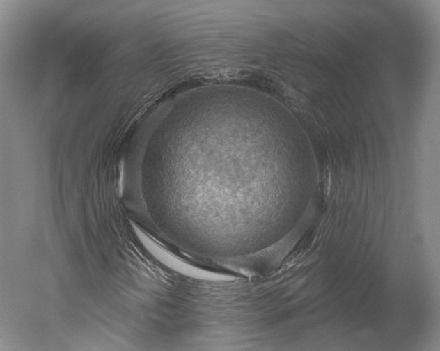 X0000052931202200507151608