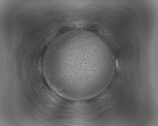 X0000052931203200507151608