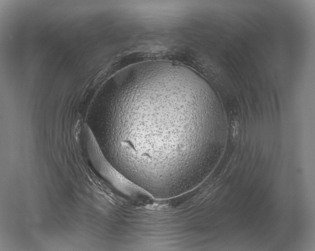 X0000052931204200507151608