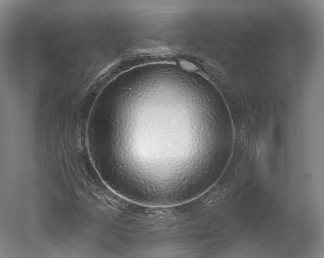 X0000052931205200507151608