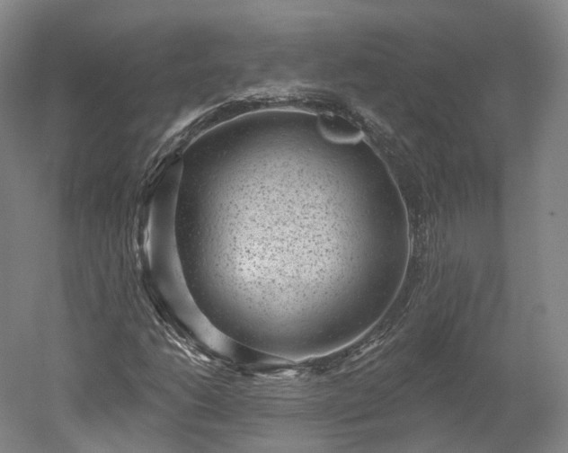 X0000052931206200507151608