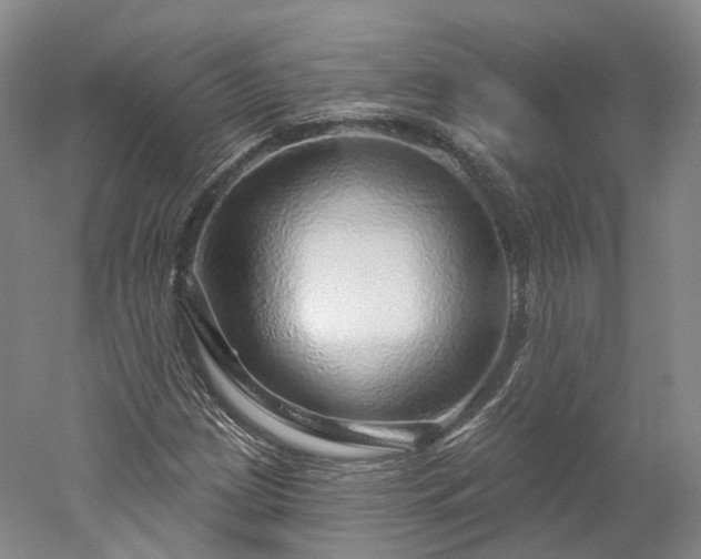 X0000052931209200507151608