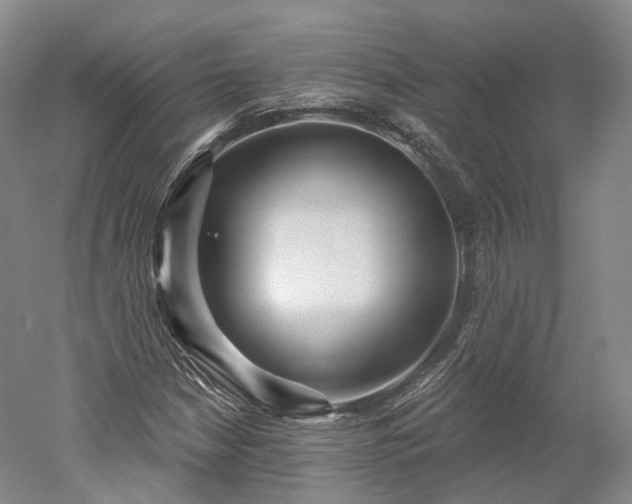 X0000052931210200507151608