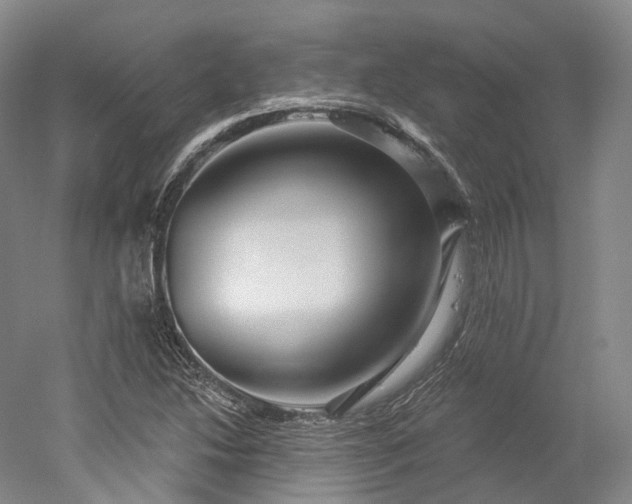 X0000052931214200507151608