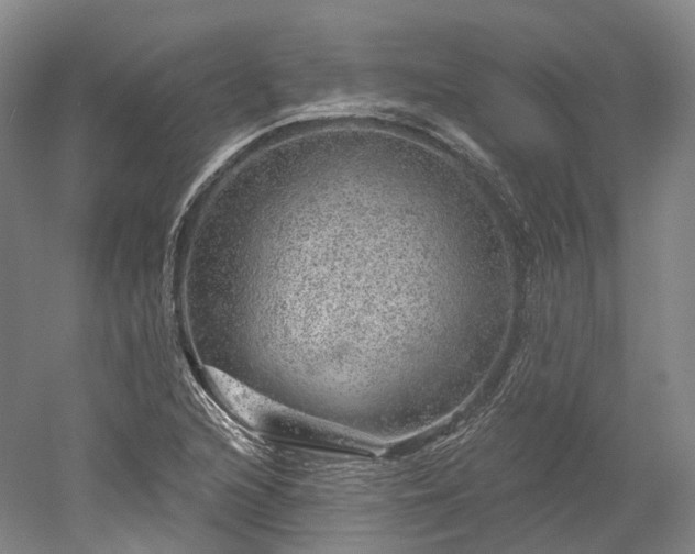 X0000052931216200507151608
