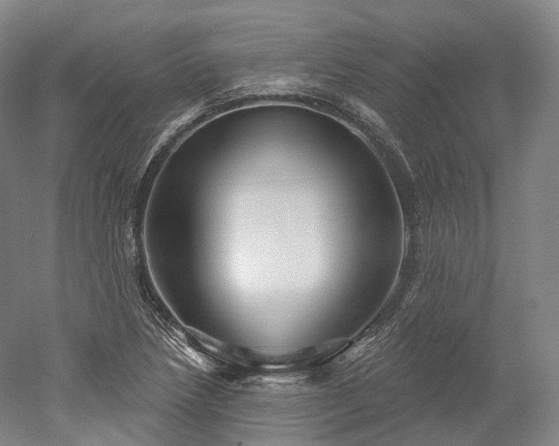 X0000052931218200507151608