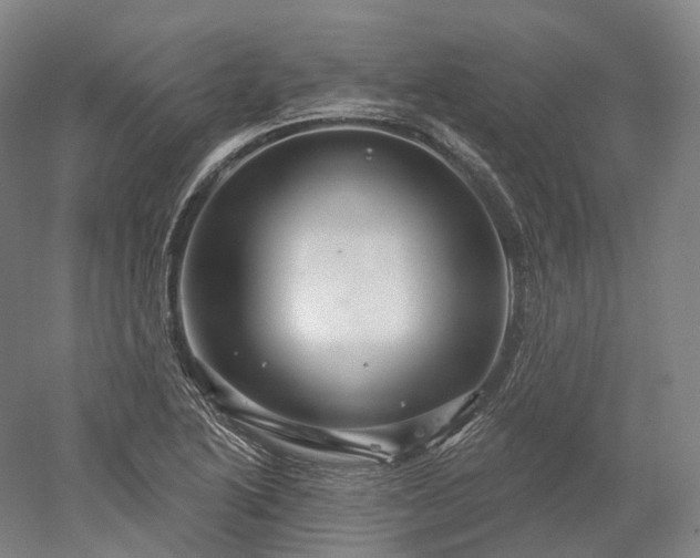 X0000052931222200507151608