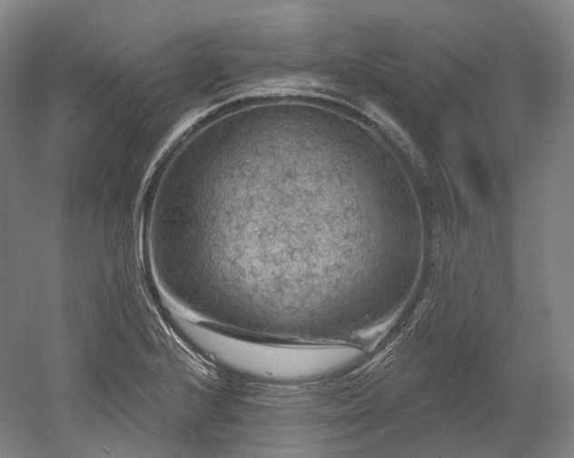 X0000052931224200507151608