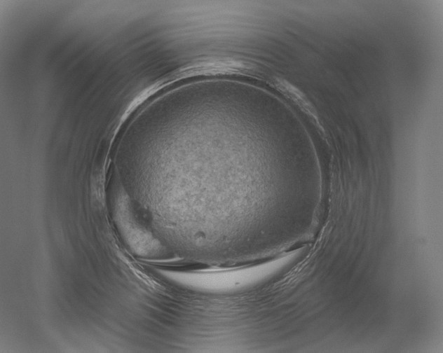 X0000052931226200507151608