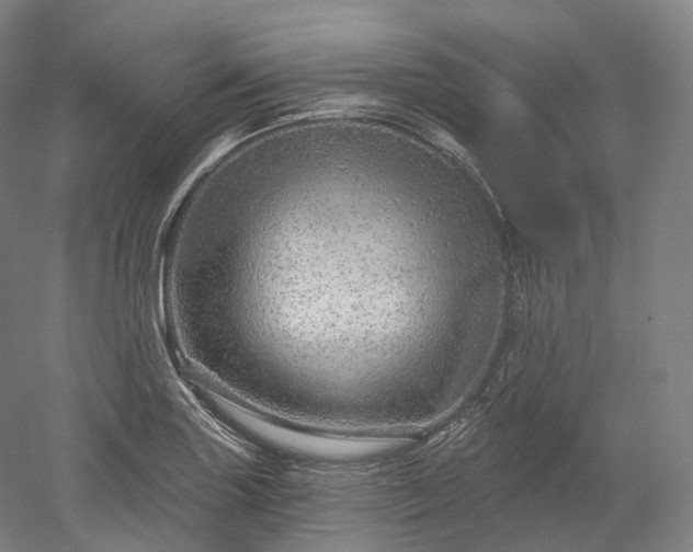 X0000052931227200507151608