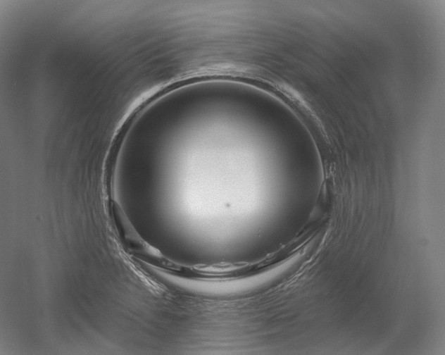 X0000052931230200507151608