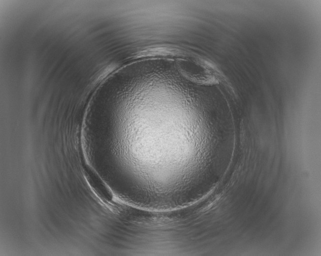 X0000052931233200507151608
