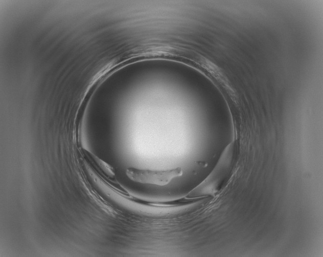 X0000052931234200507151608
