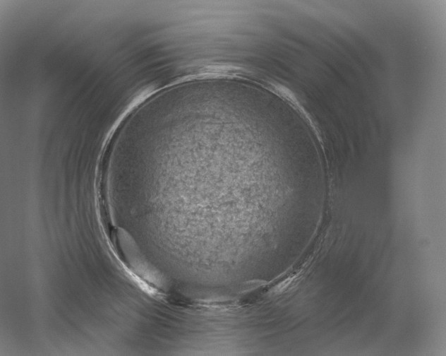 X0000052931235200507151608