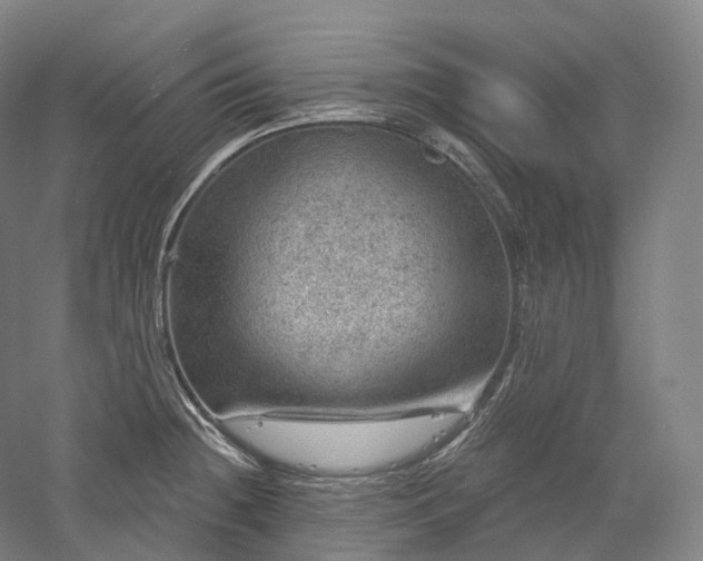 X0000052931236200507151608