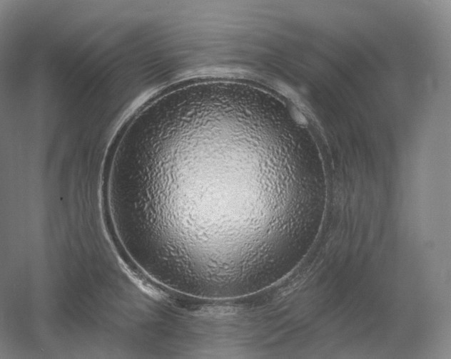 X0000052931237200507151608