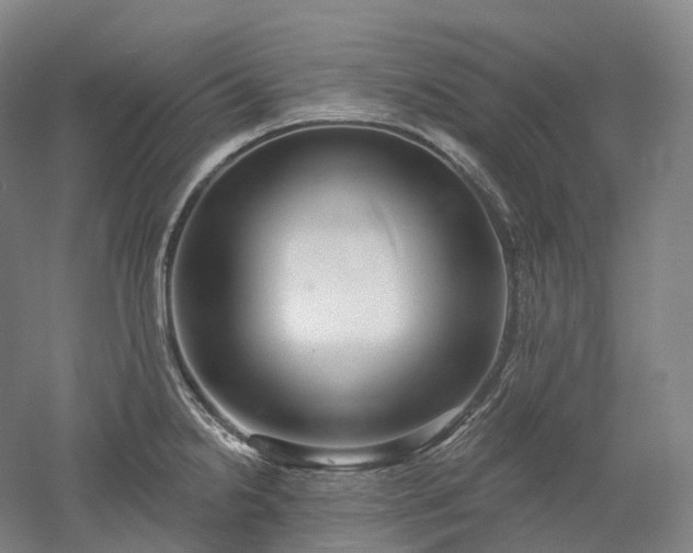 X0000052931238200507151608