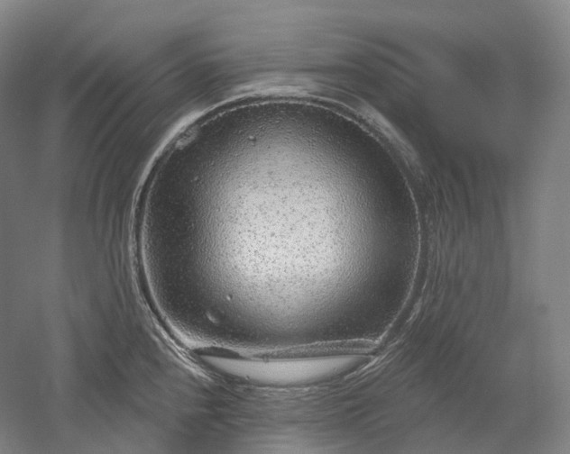 X0000052931240200507151608