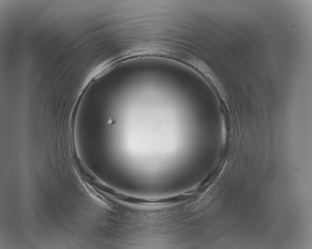 X0000052931242200507151608