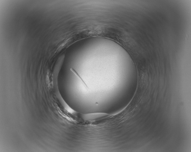 X0000052931250200507151607
