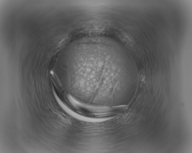 X0000052931252200507151607